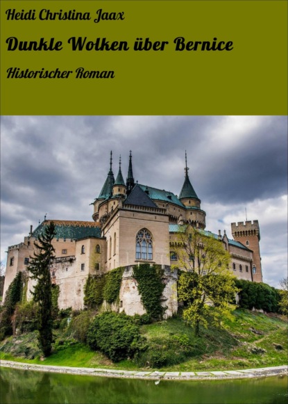 Скачать книгу Dunkle Wolken über Bernice