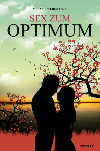 Скачать книгу Sex zum Optimum