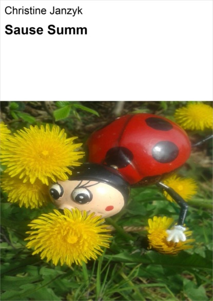 Скачать книгу Sause Summ