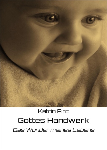 Скачать книгу Gottes Handwerk