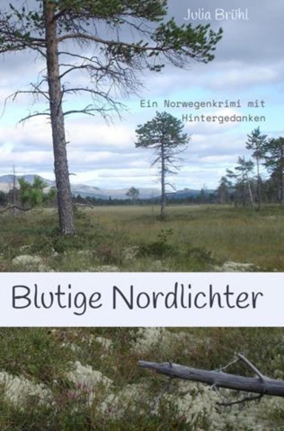 Скачать книгу Blutige Nordlichter