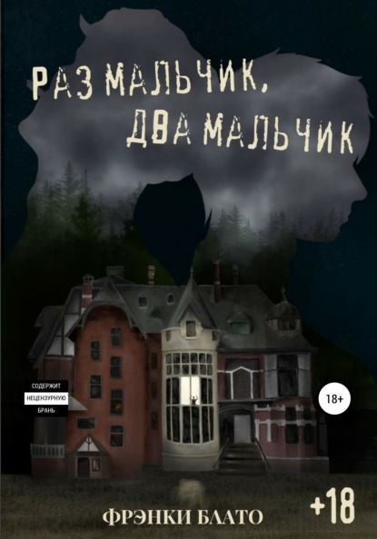Скачать книгу Раз мальчик, два мальчик