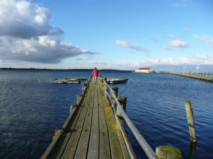 Скачать книгу RoadMovie