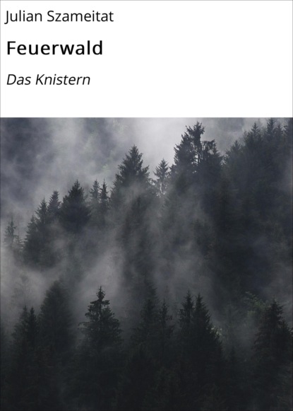 Скачать книгу Feuerwald