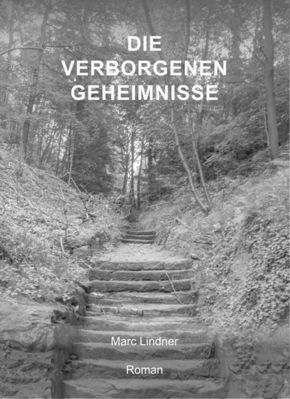 Скачать книгу Die verborgenen Geheimnisse