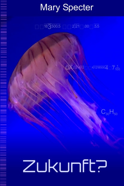 Скачать книгу Zukunft?