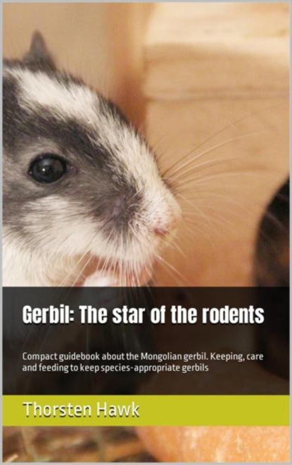 Скачать книгу Gerbil: The star of the rodents