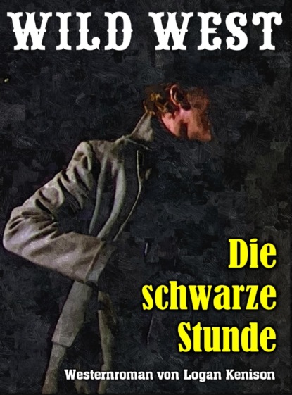 Скачать книгу Die schwarze Stunde