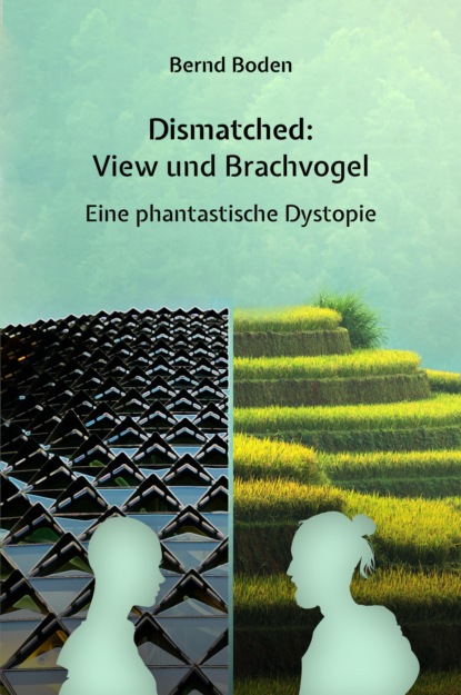 Скачать книгу Dismatched: View und Brachvogel