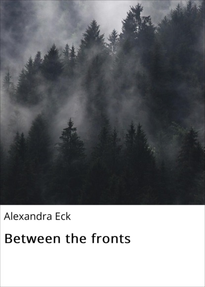 Скачать книгу Between the fronts