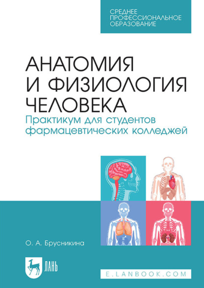 Скачать книгу Анатомия и физиология человека. Практикум для студентов фармацевтических колледжей. Учебное пособие для СПО