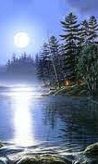 Скачать книгу Meine Songs und ihre Hintergründe