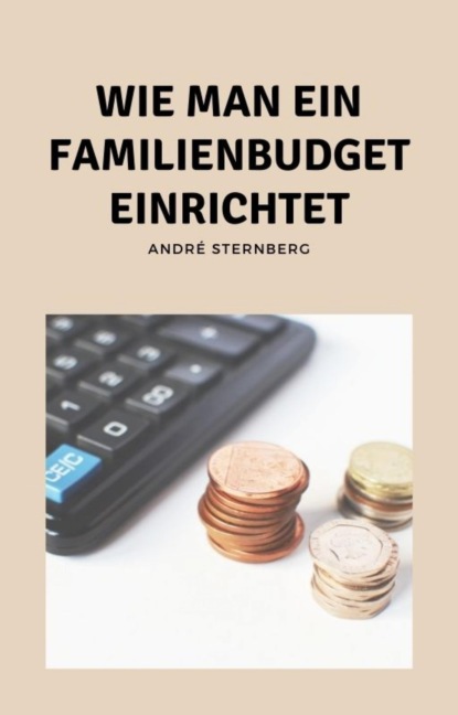 Скачать книгу Wie man ein Familienbudget einrichtet