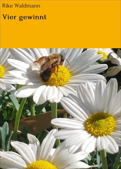 Скачать книгу Vier gewinnt