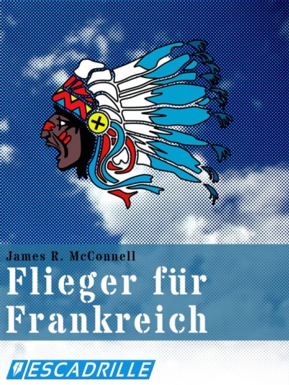Скачать книгу Flieger für Frankreich