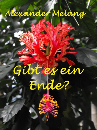 Скачать книгу Gibt es ein Ende?
