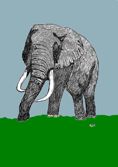 Скачать книгу Die Tolympiade