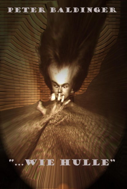 Скачать книгу wie Hulle