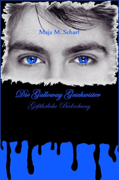 Скачать книгу Die Galloway Geschwister