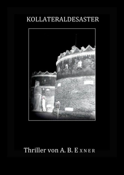 Скачать книгу Kollateraldesaster