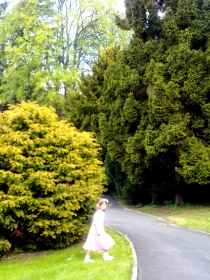 Скачать книгу Liebesrisse