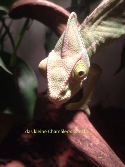 Скачать книгу Das kleine Chamäleon Sancho