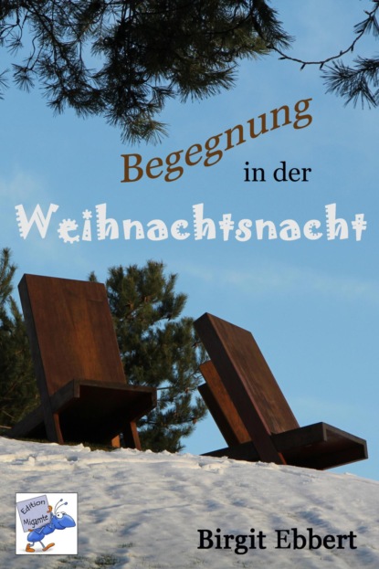 Скачать книгу Begegnung in der Weihnachtsnacht