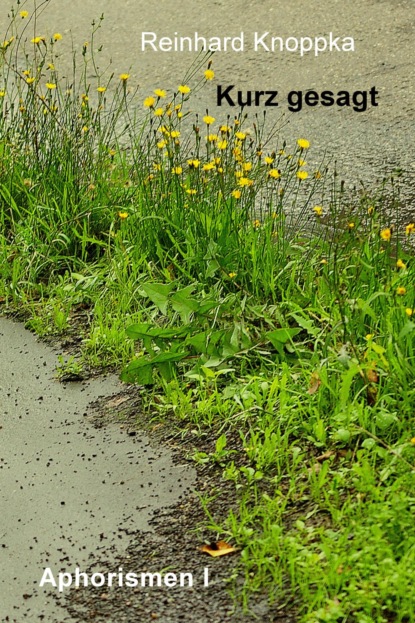 Скачать книгу Kurz gesagt