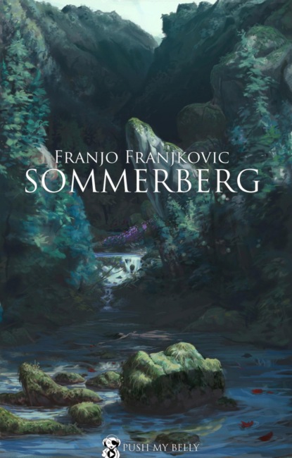 Скачать книгу Sommerberg