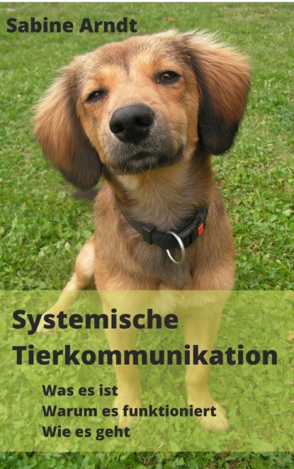 Скачать книгу Systemische Tierkommunikation