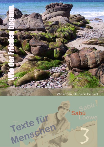 Скачать книгу Wie der Frieden begann