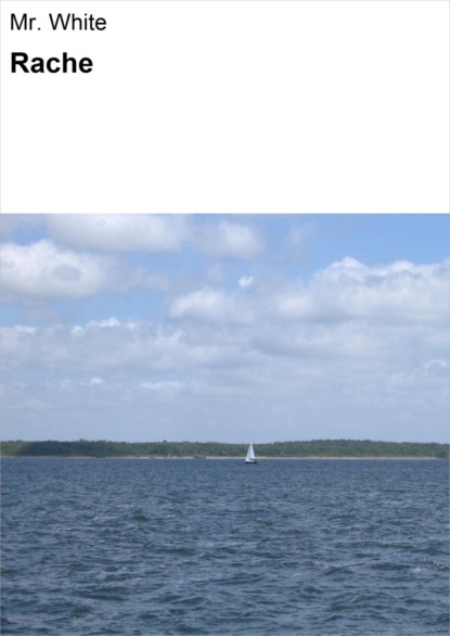 Скачать книгу Rache