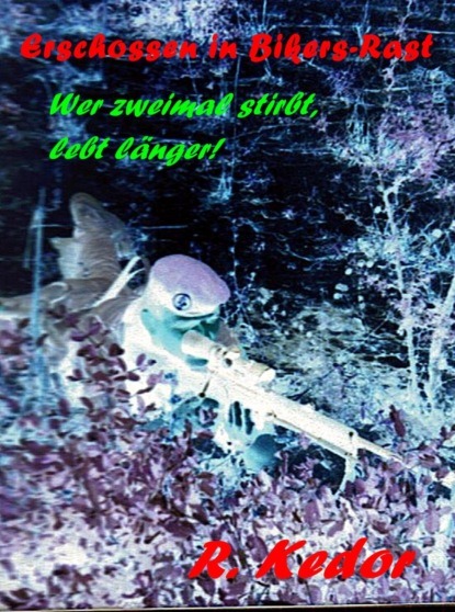 Скачать книгу Erschossen in Bikers-Rast