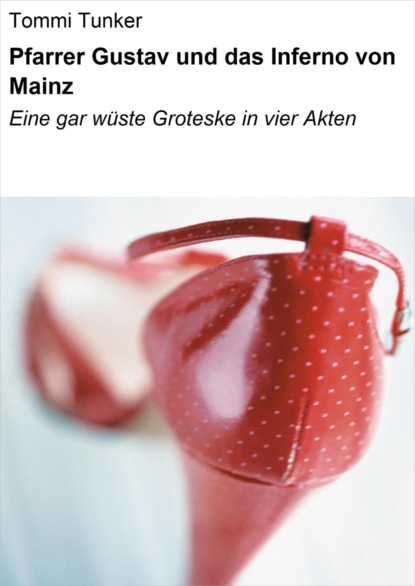 Скачать книгу Pfarrer Gustav und das Inferno von Mainz