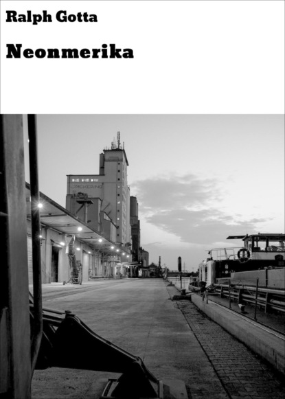 Скачать книгу Neonmerika