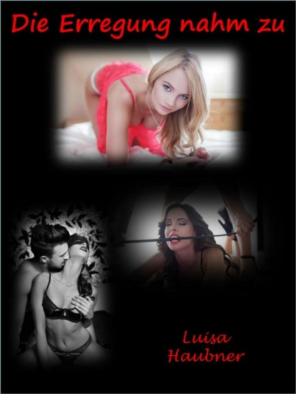 Скачать книгу Die Erregung nahm zu