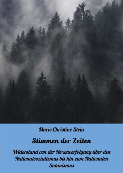Скачать книгу Stimmen der Zeiten