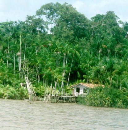 Скачать книгу Alua