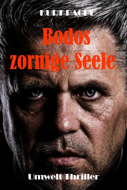 Скачать книгу Bodos zornige Seele