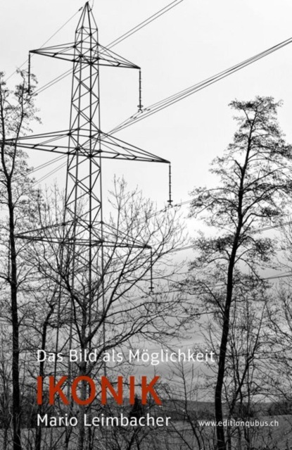 Скачать книгу IKONIK