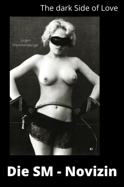 Скачать книгу The Dark Side of Love: Die SM - Novizin
