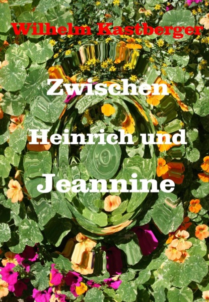 Скачать книгу Zwischen Heinrich und Jeanniene