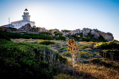 Скачать книгу Capo Testa