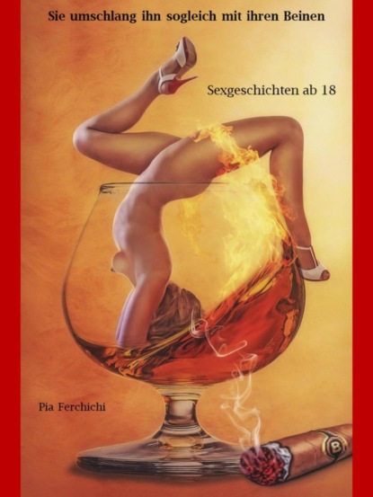 Скачать книгу Sie umschlang ihn sogleich mit ihren Beinen