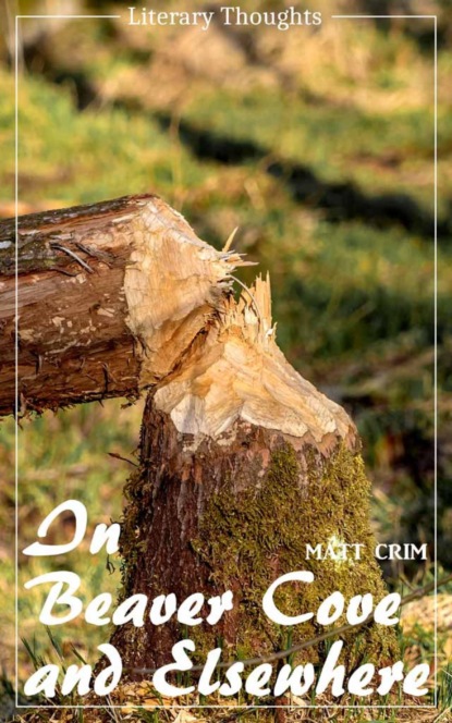 Скачать книгу In Beaver Cove and Elsewhere (Matt Crim) (Literary Thoughts Edition)