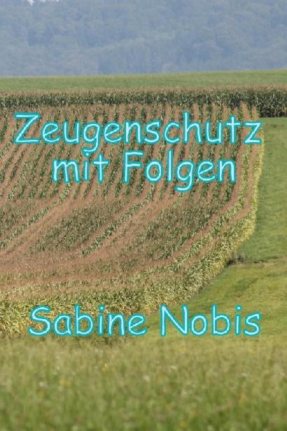 Скачать книгу Zeugenschutzprogramm mit Folgen