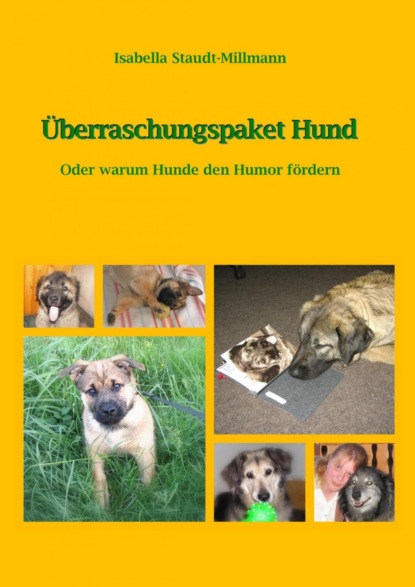 Скачать книгу Überraschungspaket Hund