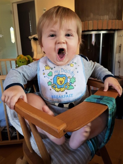 Скачать книгу Gourmetbaby - Ein Kochbuch für kleine Genießer