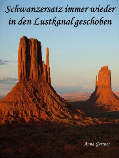 Скачать книгу Schwanzersatz immer wieder in den Lustkanal geschoben