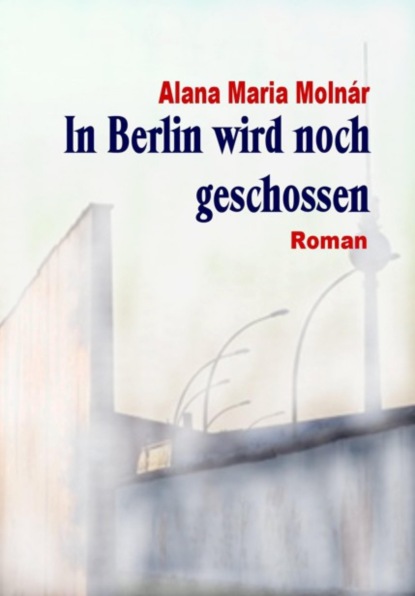 Скачать книгу In Berlin wird noch geschossen e-book